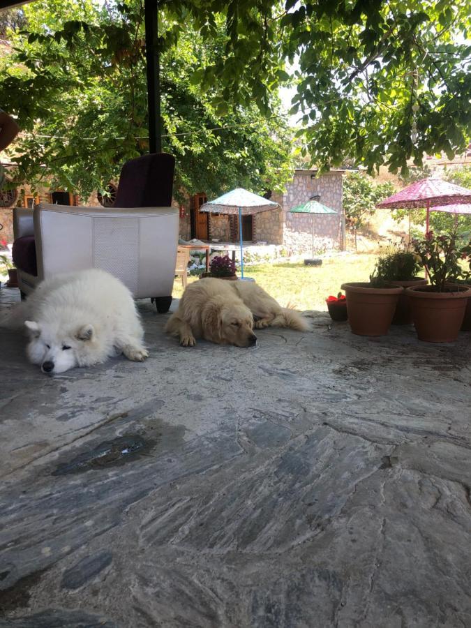 Zirkon Doga Butik Otel Fethiye Bagian luar foto